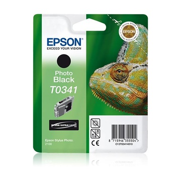 Epson Chameleon Cartuccia Nero foto