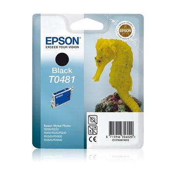 Epson Ink Cartridge Black T0481