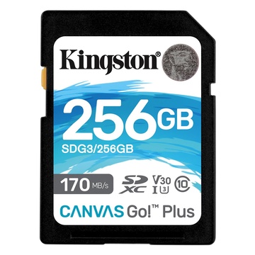 Kingston SDG3/256GB Plus 256 GB SD Classe 10 UHS-I