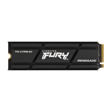 Technology 2000gb 2 tb renegade pcie 4.0 nvme ssd w/ dissipatore di calore