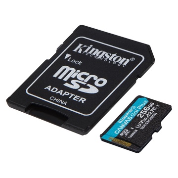 Kingston Technology Canvas Go! Plus 256 GB SD Classe 10 UHS-I