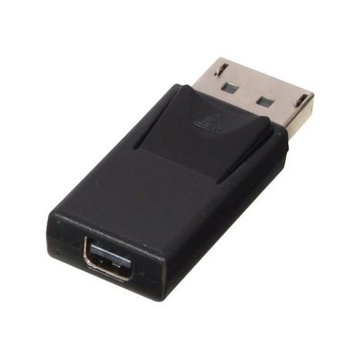 LINDY DisplayPort/Mini DisplayPort Nero