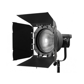 Nanlite Fresnel con Alette per attacco Bowens