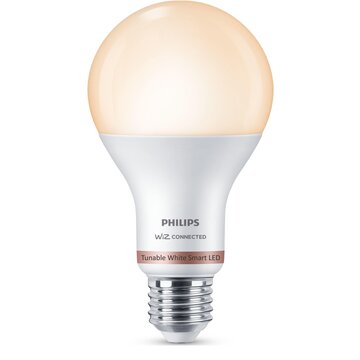 Philips Lampadina A67 E27