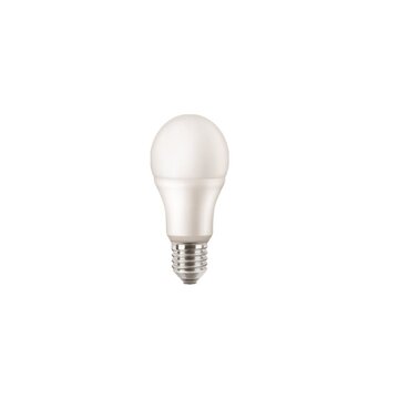 Philips Mazda MZD100840G2 lampada LED 100 W E27 F