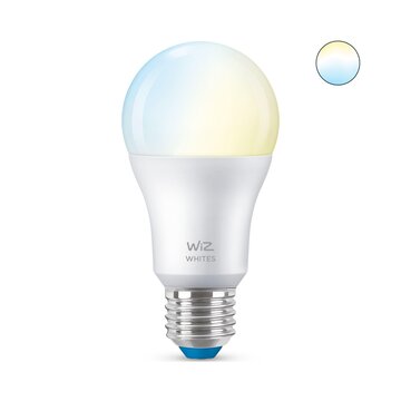 Philips WiZ Lampadina A60 E27