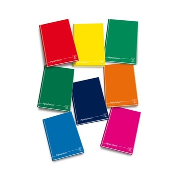 Pigna 02174670A Quaderno per scrivere Multicolore A4