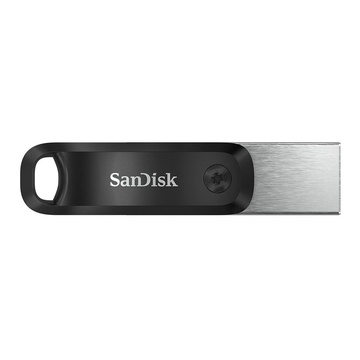 SanDisk SDIX60N-256G-GN6NE USB 256 GB 3.0 (3.1 Gen 1) Grigio, Argento