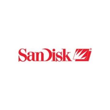 SanDisk SSD Plus 1TB 1000GB