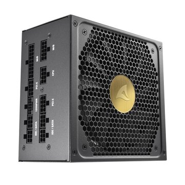 Sharkoon Rebel P30 Gold alimentatore per computer 850 W 20+4 pin ATX ATX Nero