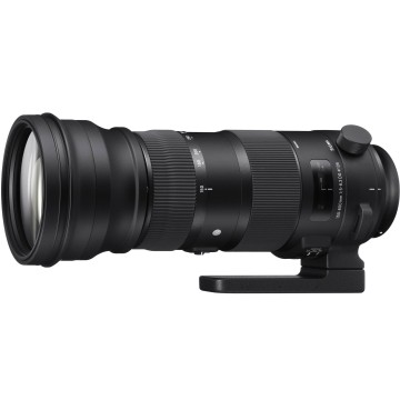 Sigma 150-600mm f/5-6.3 DG OS AF HSM Nikon Sport [Usato]