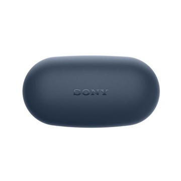 Sony WF-XB700 Auricolare Bluetooth Blu in offerta: Risparmi €21 | Ollo Store