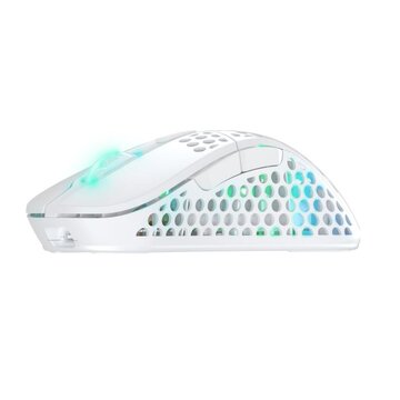 Xtrfy M4 RGB mouse RF Wireless Ottico 19000 DPI