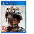 Activision Call of Duty: Black Ops Cold War - Standard Edition PS4