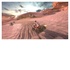 Activision Microids ATV Drift & Tricks VR PS4