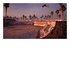 Activision Tony Hawk's Pro Skater 1+2 PS4