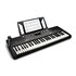 Alesis Harmony 54 tastiera digitale 54 chiavi Nero
