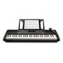 Alesis Harmony 54 tastiera digitale 54 chiavi Nero