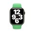 Apple 45mm Verde brillante Sport Band Regular