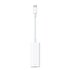 Apple Adattatore Thunderbolt 24 pin USB-C (M) a Mini DisplayPort (F) bidirezionale