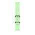 Apple Black Titanium Finish Band Verde Fluoroelastomero, Titanio