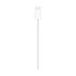 Apple Caricabatterie MagSafe (1 m)