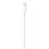 Apple Cavo da USB‑C a Lightning (1 m)