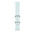 Apple Cinturino Ocean blu ghiaccio (49 mm) - Titanio naturale