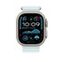 Apple Cinturino Ocean blu ghiaccio (49 mm) - Titanio naturale