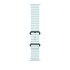 Apple Cinturino Ocean blu ghiaccio (49 mm) - Titanio nero