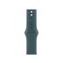 Apple Cinturino Sport verde lago (42 mm) - M/L