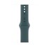 Apple Cinturino Sport verde lago (46 mm) - M/L
