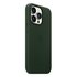 Apple Custodia MagSafe in pelle per iPhone 13 Pro Verde Sequoia