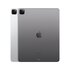 Apple iPad 12.9 Pro Wi‑Fi + Cellular 1TB Argento