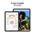 Apple iPad Air (6th Generation) Air 11'' Wi-Fi + Cellular 1TB - Galassia