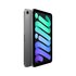 Apple iPad mini Wi-Fi 512GB - Grigio Siderale