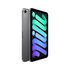Apple iPad mini Wi-Fi + Cellular 128GB - Grigio Siderale