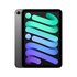 Apple iPad mini Wi-Fi + Cellular 256GB - Grigio Siderale