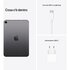 Apple iPad Mini Wi-Fi + Cellular 256GB Grigio Siderale