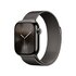 Apple Loop in maglia milanese ardesia (42 mm)
