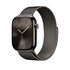 Apple Loop in maglia milanese ardesia (46 mm) - M/L