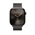 Apple Loop in maglia milanese ardesia (46 mm) - M/L