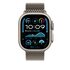 Apple Loop in maglia milanese in titanio naturale (49 mm) - Large