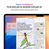 Apple MacBook Air 15'' M4 chip 10-core CPU 10-core GPU, 24GB, 512GB SSD - Mezzanotte