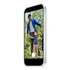 Apple MGF24ZM/A custodia per cellulare 16 cm (6.3