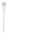 Apple MXLY2ZM/A cavo Lightning 1 m Bianco