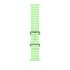Apple Natural Titanium Finish Band Verde Fluoroelastomero, Titanio