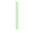 Apple Titanium Finish Band Verde Fluoroelastomero, Titanio