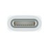 Apple USB-C to Pencil Adapter Bianco 1 pz