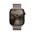 Apple Watch Series 10 Serie 10 GPS + Cellular 46mm Cassa in Titanio con Loop in maglia milanese - M/L